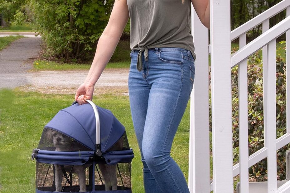 Ultimate Comfort on the Go: Pet Gear No-Zip 360 Carrier & Car Seat Review