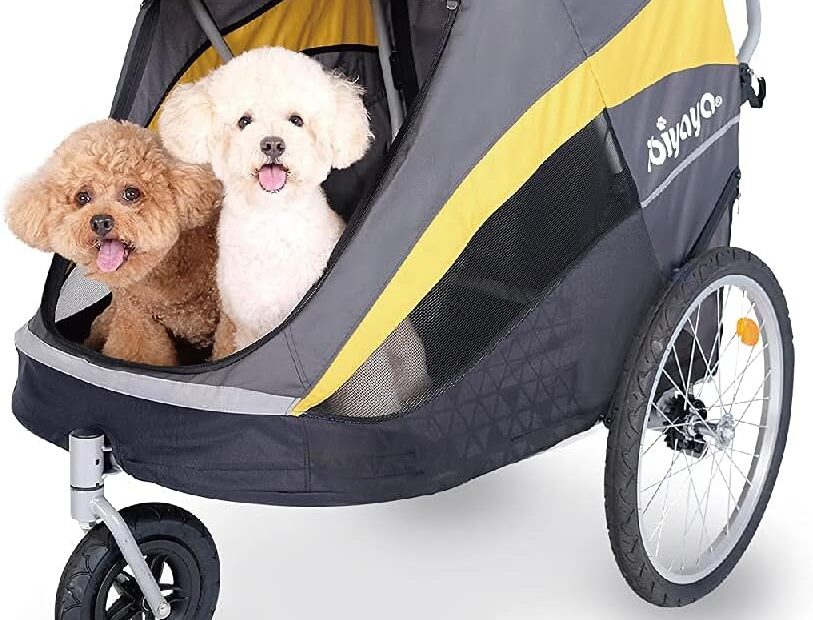 Ultimate Comfort on the Go: Review of the Ibiyaya Hercules Large Dog Stroller
