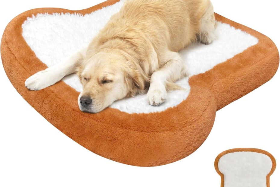 Ultimate Comfort: Orthopedic Dog Bed Review for Medium Dogs!