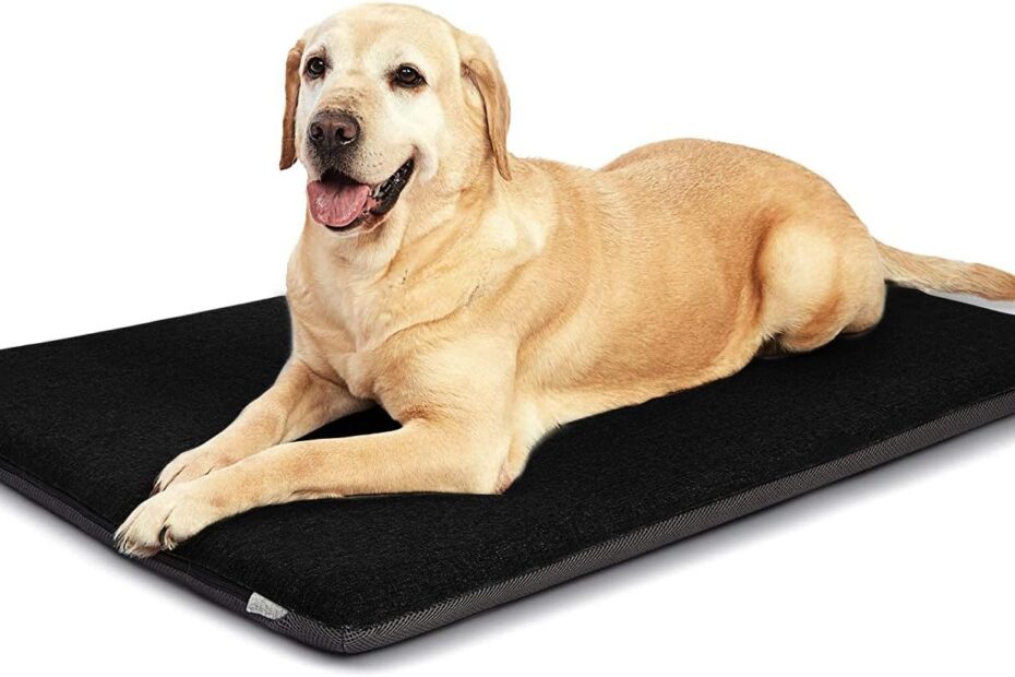 Ultimate Comfort: Panku Orthopedic Dog Beds Review for Extra Large Dogs