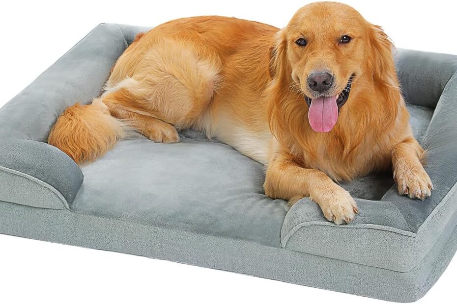 Ultimate Comfort: PAWZ Road XLarge Dog Bed Review