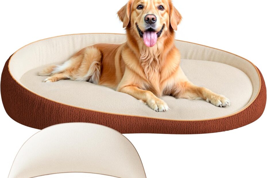 Ultimate Comfort: Review of Orthopedic Dog Beds for Extra Large Dogs