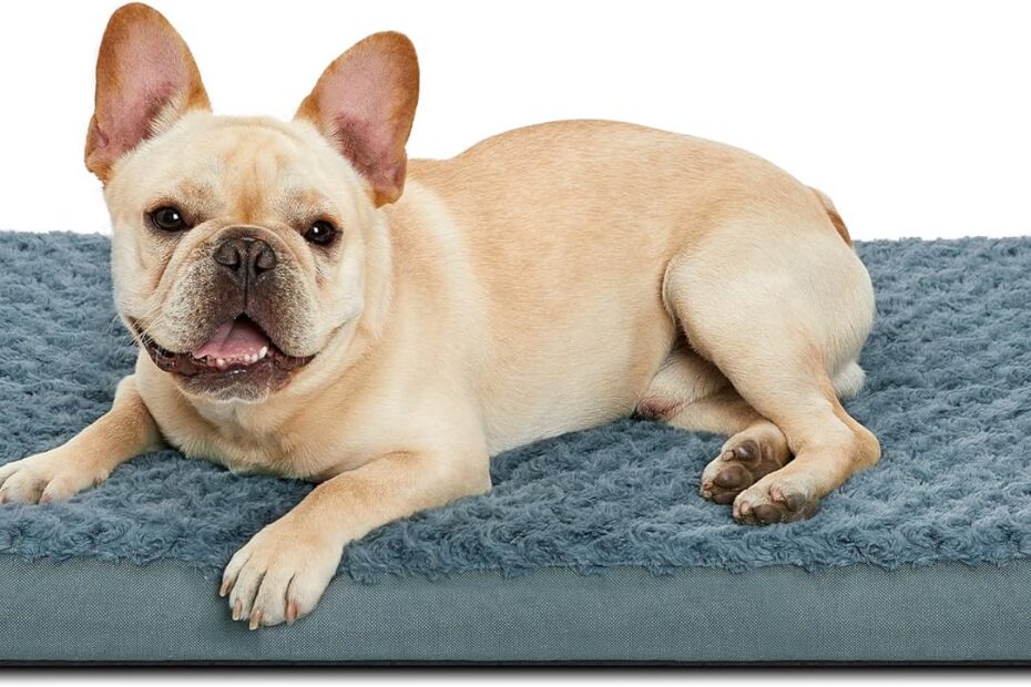 Ultimate Comfort: Review of Orthopedic Dog Beds for Happy Pets