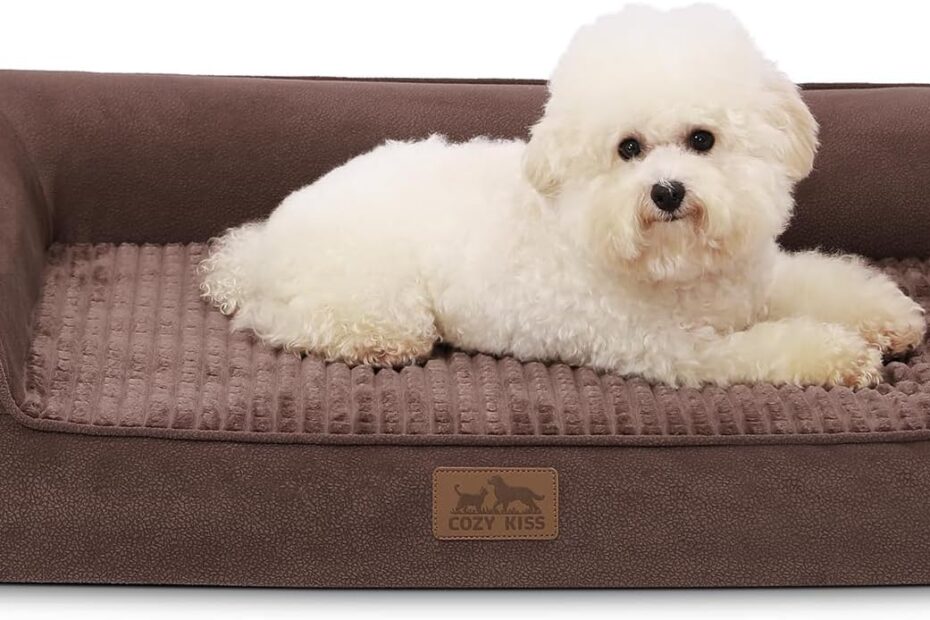 Ultimate Comfort: Review of Orthopedic Dog Beds for Your Medium-Sized Pup