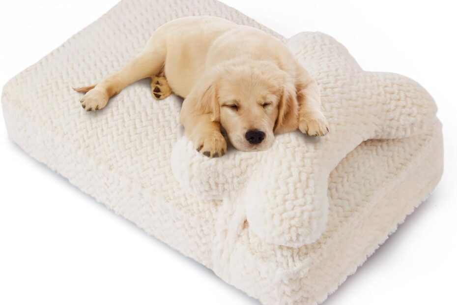 Ultimate Comfort: Review of Soft Touch Orthopedic Dog Beds for Large Dogs