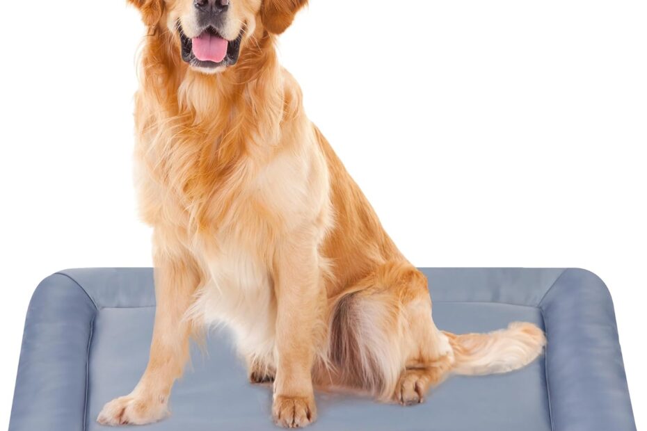 Ultimate Comfort: Review of the All-Season Orthopedic Memory Foam Pet Bed