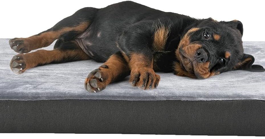 Ultimate Comfort: Review of the Amazon Basics Cooling Gel Orthopedic Dog Bed