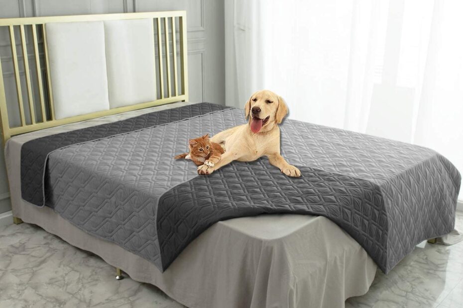 Ultimate Comfort: Review of the Ameritex Waterproof Dog Bed Cover & Pet Blanket