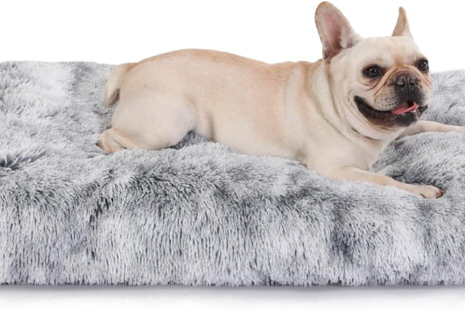 Ultimate Comfort: Review of the Bedfolks Waterproof Dog Crate Bed for Large Dogs