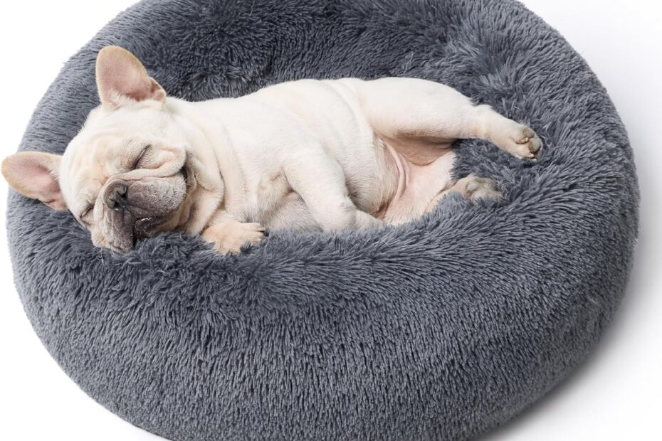 Ultimate Comfort: Review of the Bedsure Calming Dog Bed for Medium Dogs