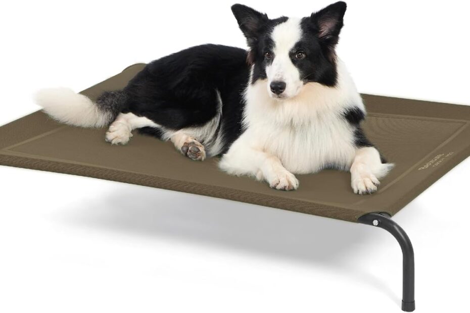 Ultimate Comfort: Review of the Bedsure Elevated Cooling Dog Bed for Large Breeds