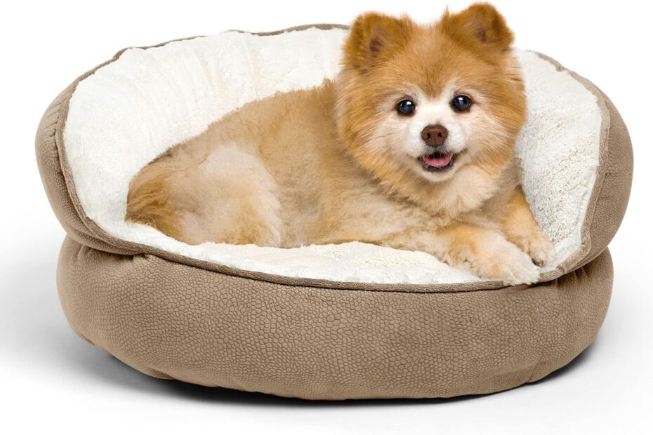 Ultimate Comfort: Review of the Best Friends by Sheri Orthopedic Pet Bed