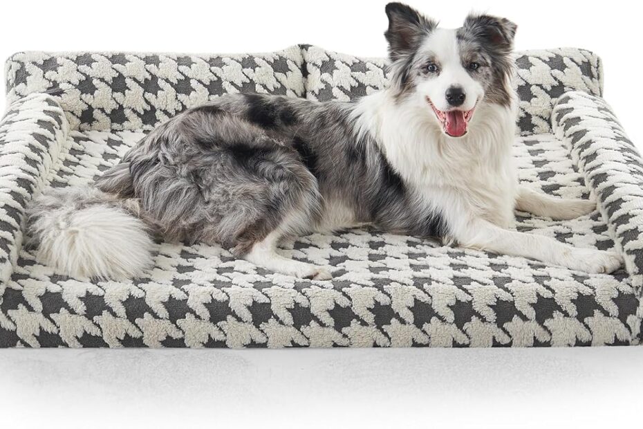 Ultimate Comfort: Review of the Best Orthopedic Dog Beds for Large Dogs