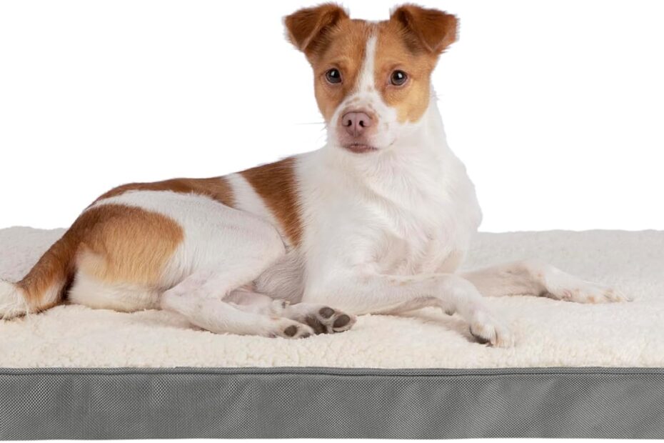 Ultimate Comfort: Review of the Best Pet Supplies Orthopedic Dog Crate Mat