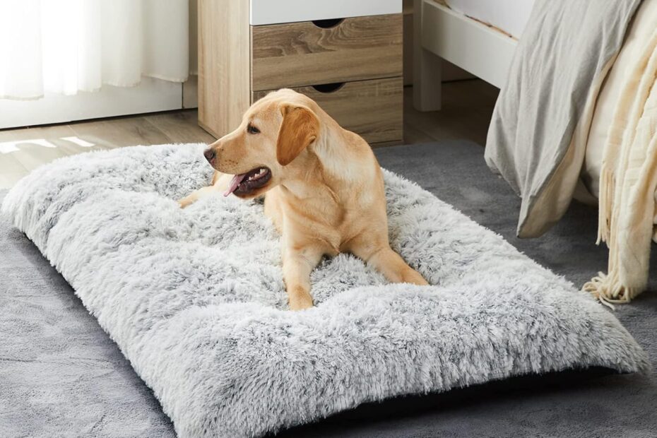 Ultimate Comfort: Review of the BFPETHOME Plush Dog Bed for Large Dogs
