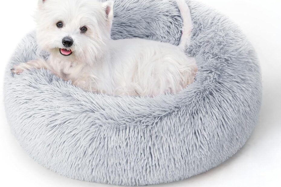 Ultimate Comfort: Review of the Calming Donut Dog & Cat Bed