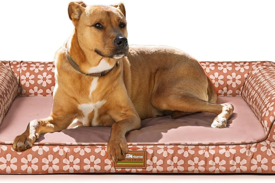 Ultimate Comfort: Review of the ClevaHome Orthopedic Dog Bed for Large Pups!