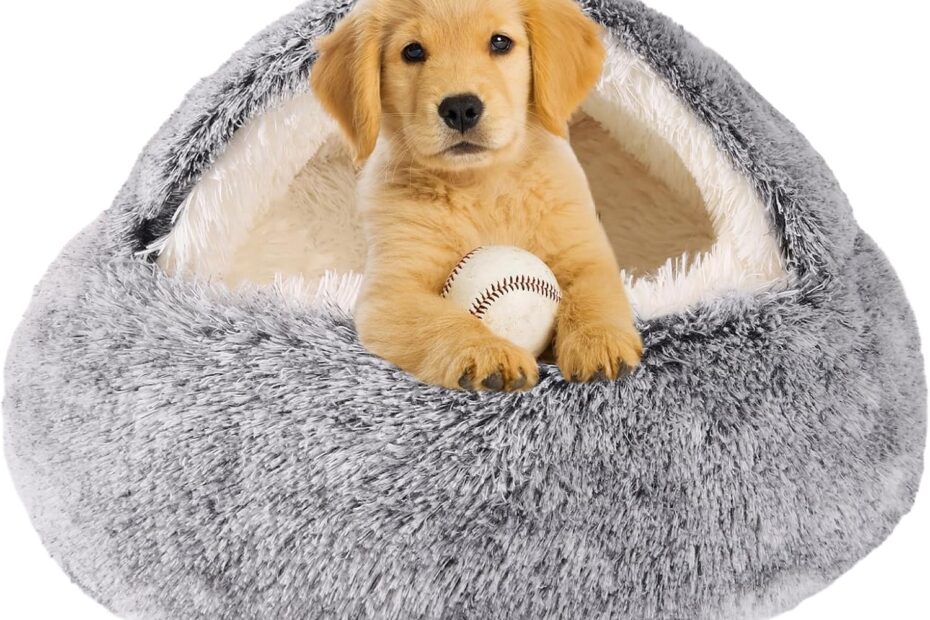 Ultimate Comfort: Review of the Cozy Nook Pet Bed for Small Dogs and Cats