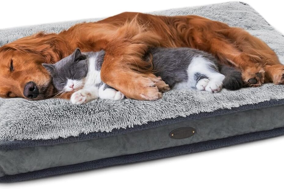 Ultimate Comfort: Review of the Deluxe Plush Dog Bed for Large and Medium Breeds