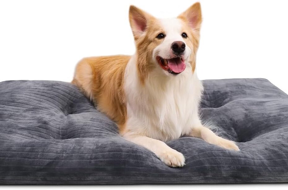 Ultimate Comfort: Review of the Deluxe Washable Dog Crate Bed