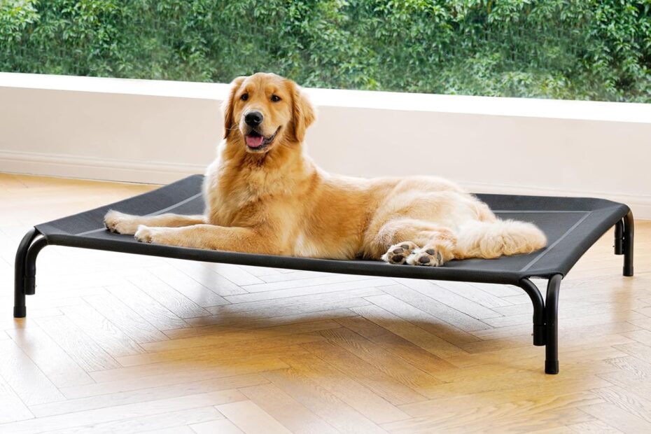Ultimate Comfort: Review of the Elevated Dog Bed for Large Breeds