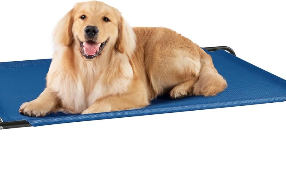 Ultimate Comfort: Review of the Elevated Dog Bed for Large Dogs