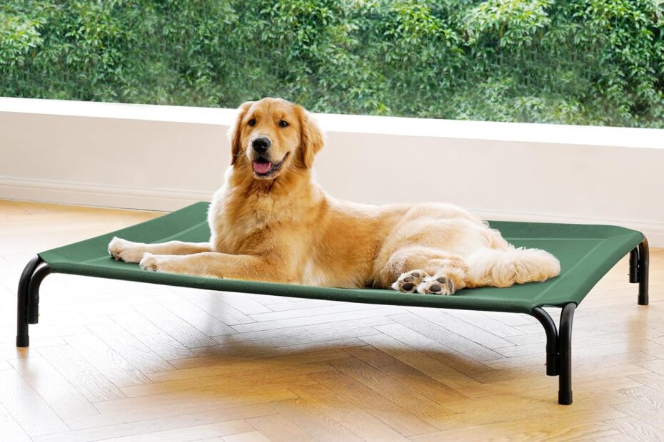 Ultimate Comfort: Review of the Elevated Dog Bed for Large Dogs