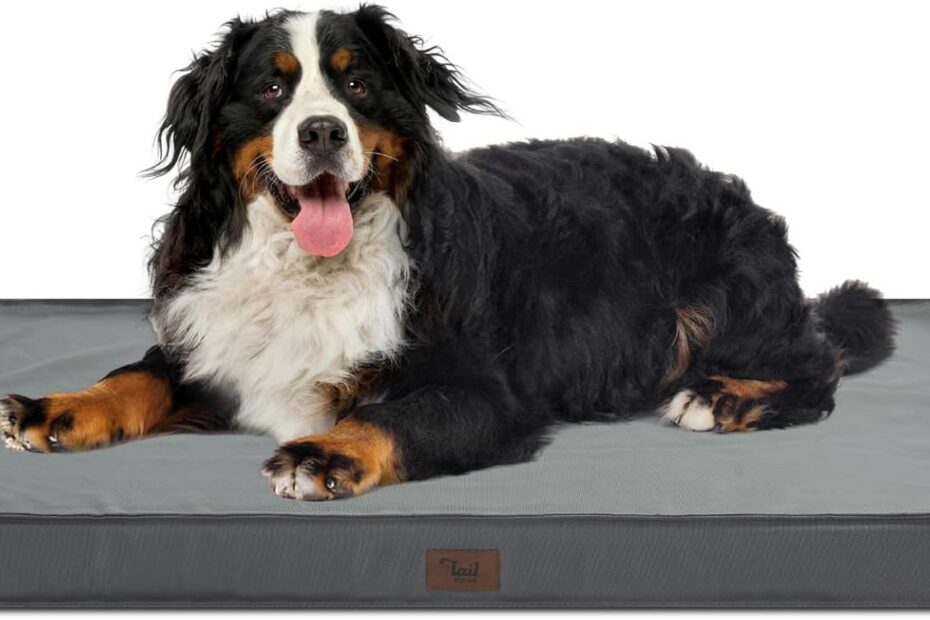 Ultimate Comfort: Review of the Extra Large Waterproof Orthopedic Dog Bed