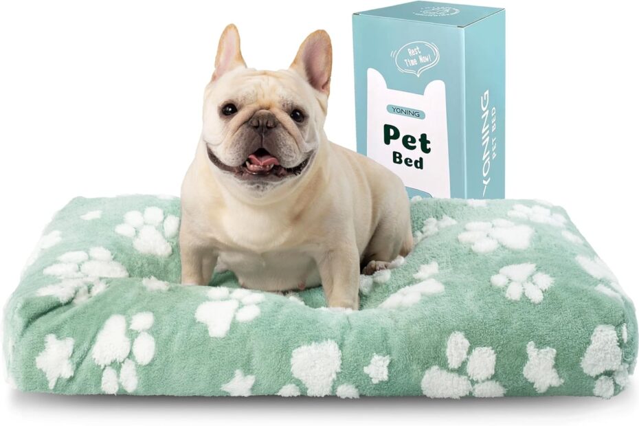 Ultimate Comfort: Review of the Fluffy Green Paw Dog Bed for Small to Medium Dogs