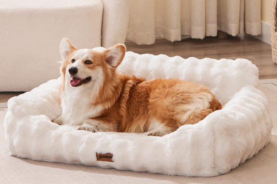 Ultimate Comfort: Review of the Fluffy Orthopedic Dog Couch Bed