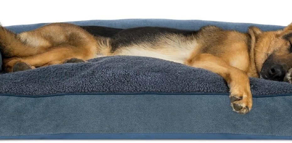 Ultimate Comfort: Review of the Furhaven Jumbo Pillow Dog Bed for Large Dogs