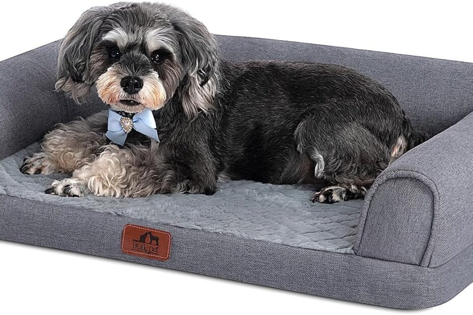 Ultimate Comfort: Review of the Hollypet Orthopedic Dog Bed for Medium Dogs