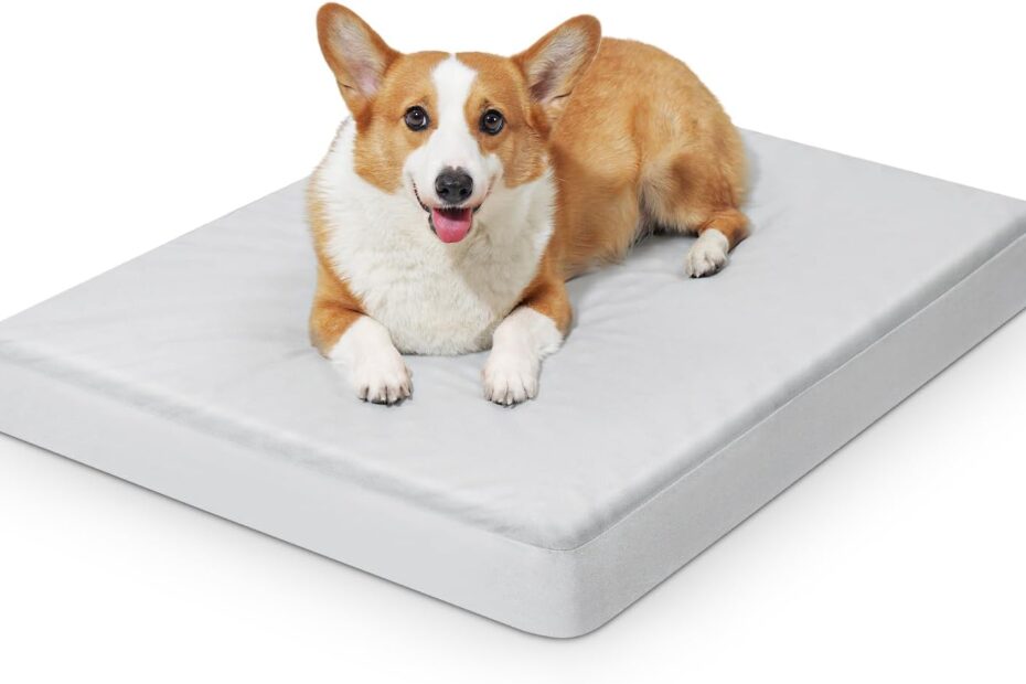 Ultimate Comfort: Review of the Indestructible Squishmallow Dog Bed for Large Dogs