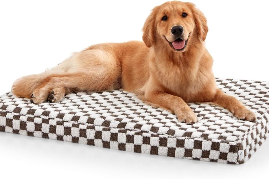 Ultimate Comfort: Review of the JOEJOY Orthopedic Dog Bed for Large Breeds