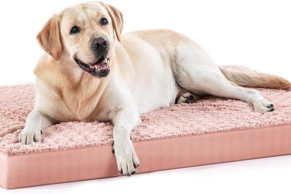 Ultimate Comfort: Review of the JOEJOY Orthopedic Dog Bed for Large Dogs