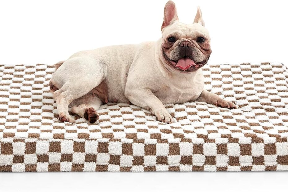 Ultimate Comfort: Review of the JOEJOY Orthopedic Dog Bed for Medium to Large Dogs