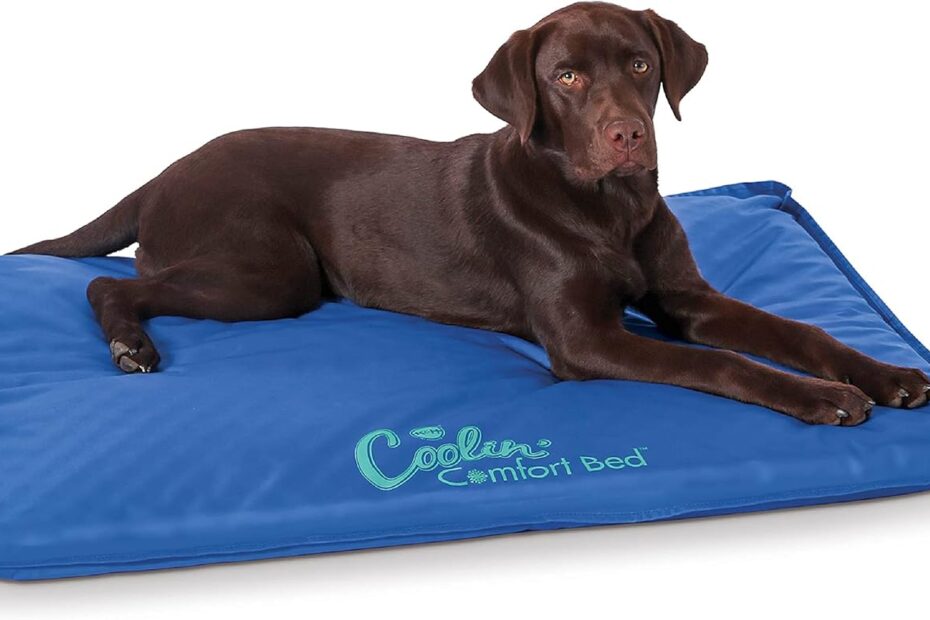 Ultimate Comfort: Review of the K&H Orthopedic Cooling Mat for Large Dogs