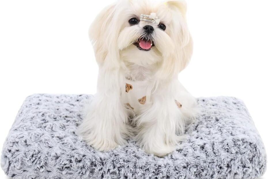 Ultimate Comfort: Review of the KSIIA Deluxe Washable Dog Bed