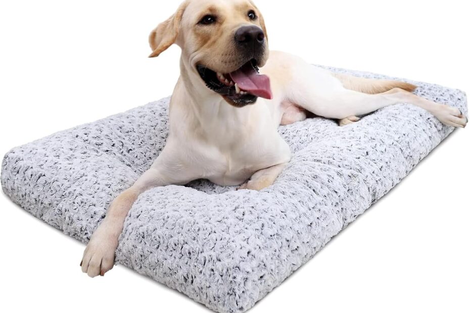 Ultimate Comfort: Review of the KSIIA Washable Plush Dog Bed for All Breeds