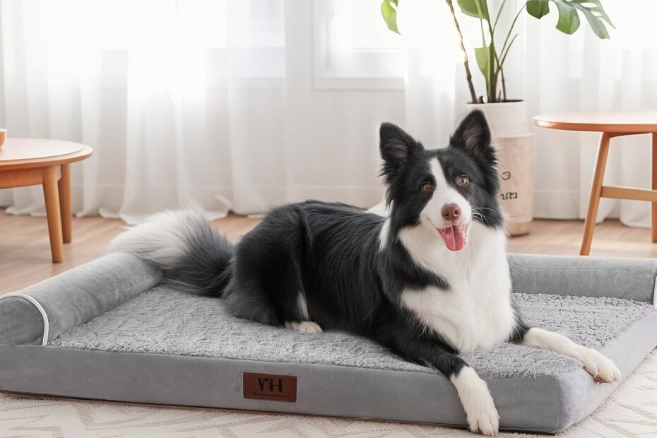 Ultimate Comfort: Review of the Large Orthopedic Dog Bed for a Perfect Night's Sleep