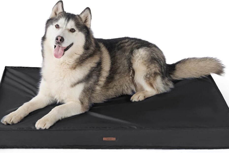 Ultimate Comfort: Review of the Lesure Outdoor Waterproof Dog Bed for Large Breeds