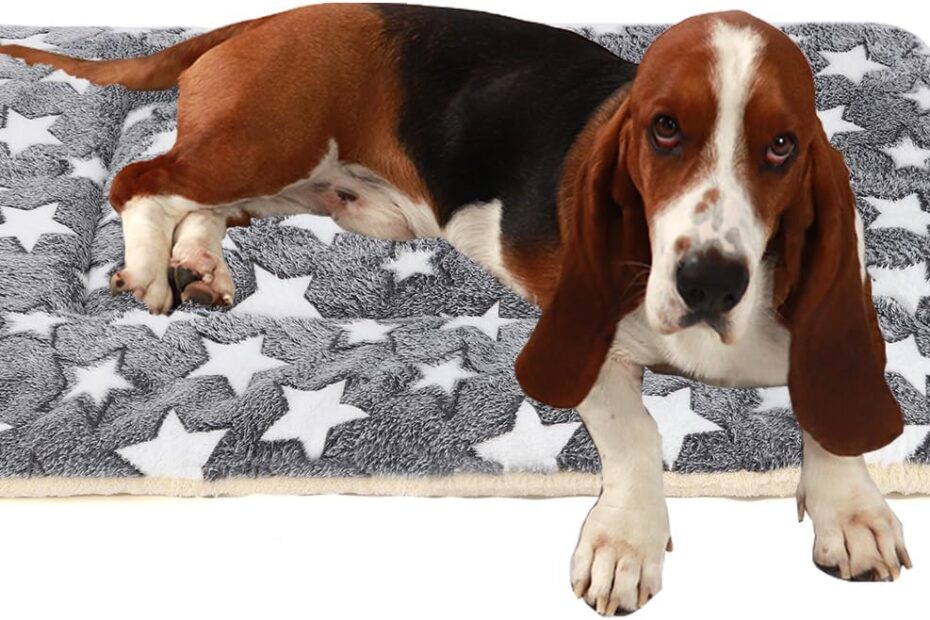 Ultimate Comfort: Review of the Machine Washable Grey Dog Bed Mat