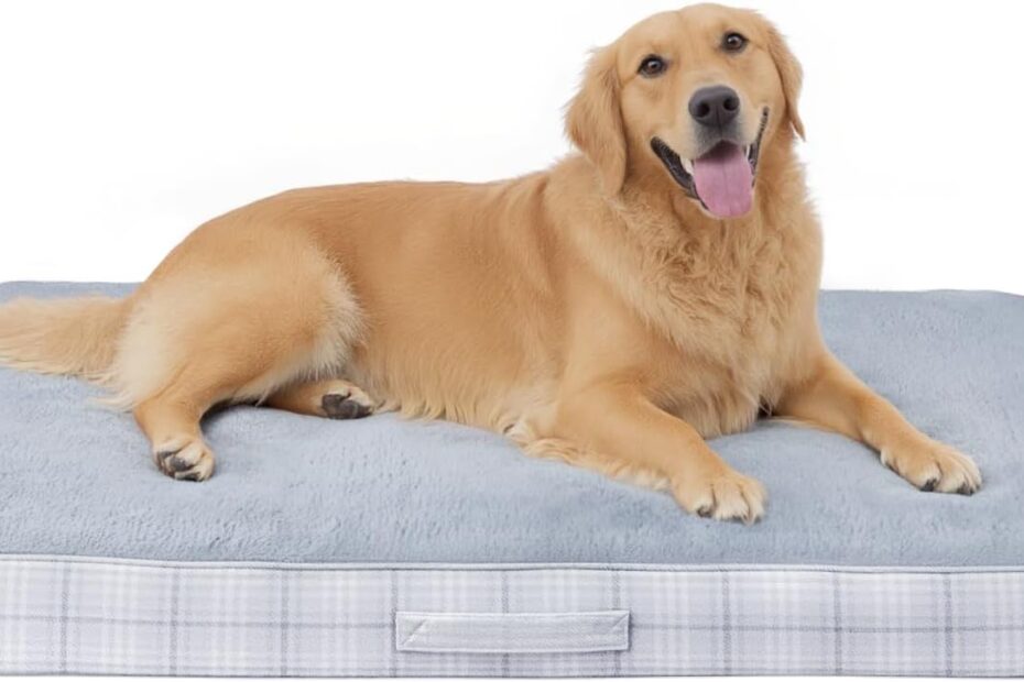 Ultimate Comfort: Review of the MIHIKK Washable Orthopedic Dog Bed for Large Dogs