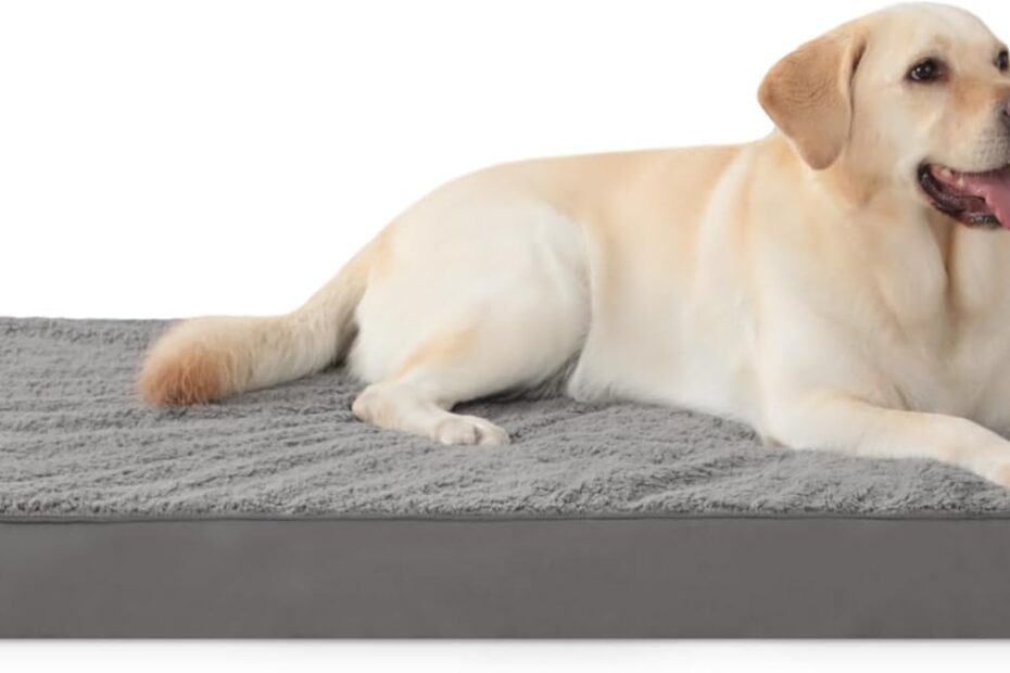 Ultimate Comfort: Review of the MIHIKK XL Waterproof Orthopedic Dog Bed