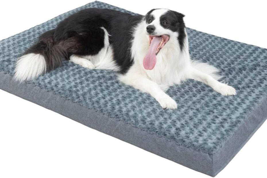 Ultimate Comfort: Review of the Orthopedic Dog Bed for Large Breeds