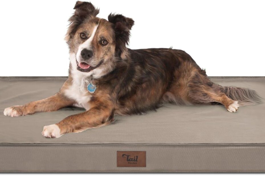 Ultimate Comfort: Review of the Orthopedic Dog Bed for Large Breeds