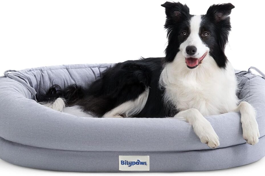Ultimate Comfort: Review of the Orthopedic Dog Bed for Large Dogs