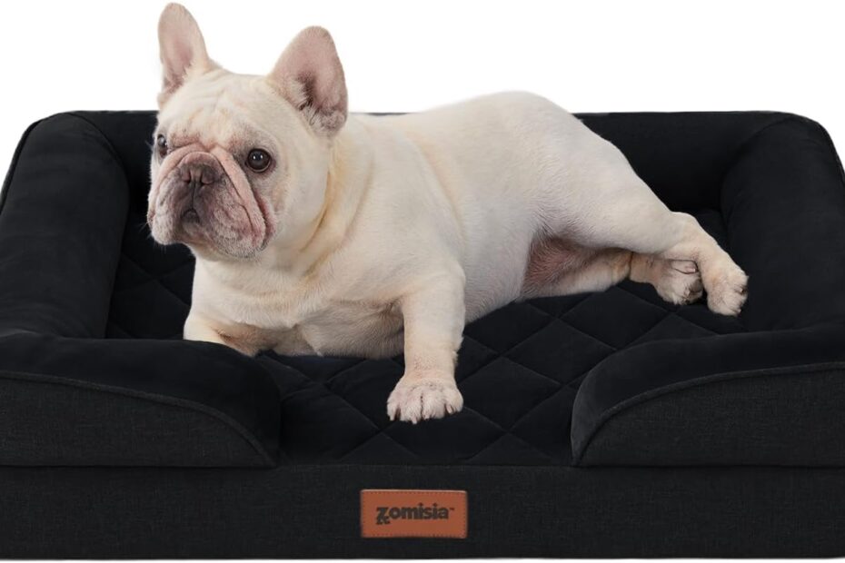 Ultimate Comfort: Review of the Orthopedic Dog Bed for Medium Dogs