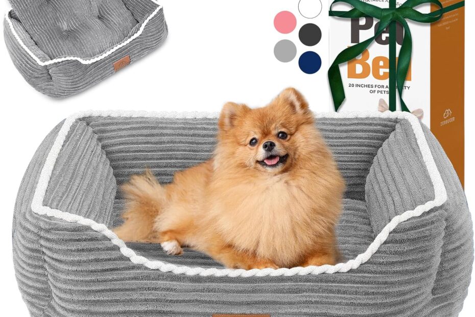 Ultimate Comfort: Review of the Orthopedic Dog Bed for Medium Dogs