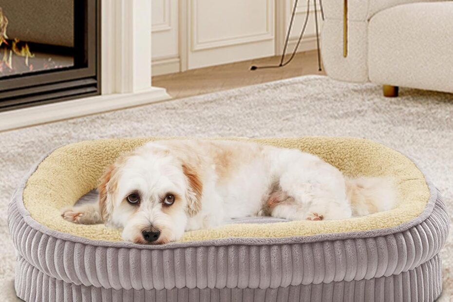 Ultimate Comfort: Review of the Orthopedic Dog Bed for Small Breeds